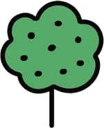 squiggly tree